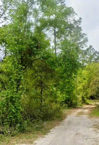 Tbd N Edgeline Road Satsuma FL 32189