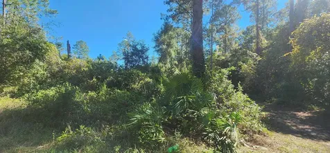 Tbd N Edgeline Road Satsuma FL 32189