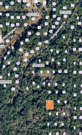 105 Bahama Court Georgetown FL 32139