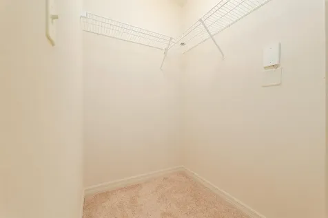 99 Broad River Place Welaka FL 32193