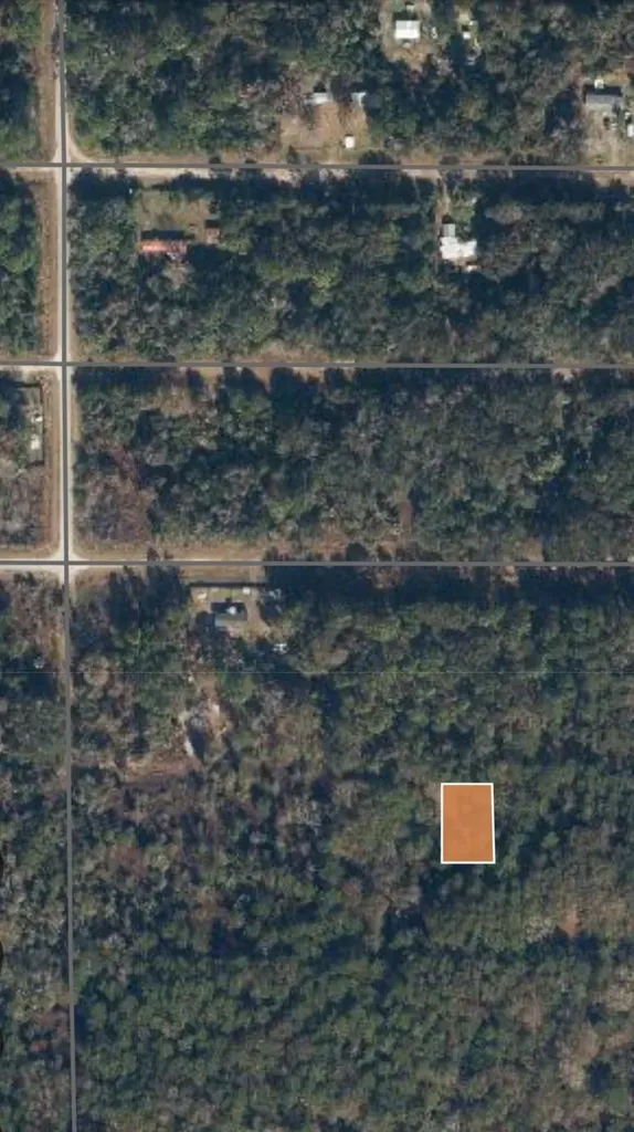 315 E Edgewood Drive Georgetown FL 32139