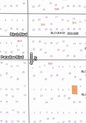 315 E Edgewood Drive Georgetown FL 32139