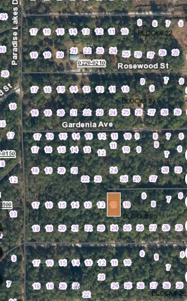 113 Palm Way Georgetown FL 32139