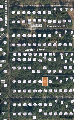 113 Palm Way Georgetown FL 32139