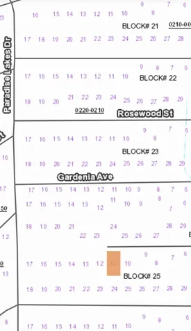 113 Palm Way Georgetown FL 32139