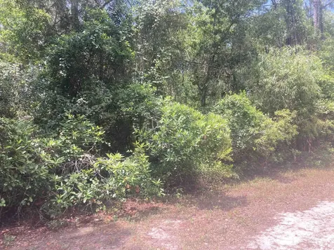 430 Palm Way Georgetown FL 32139