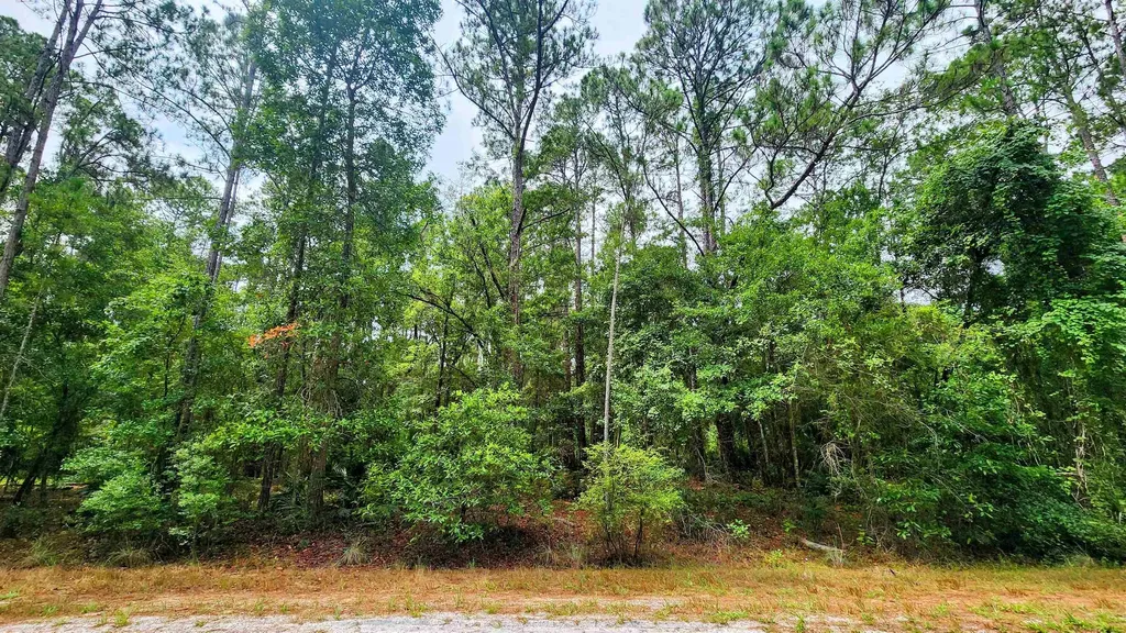 129 Hazel Avenue Georgetown FL 32139