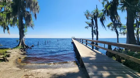 129 Hazel Avenue Georgetown FL 32139