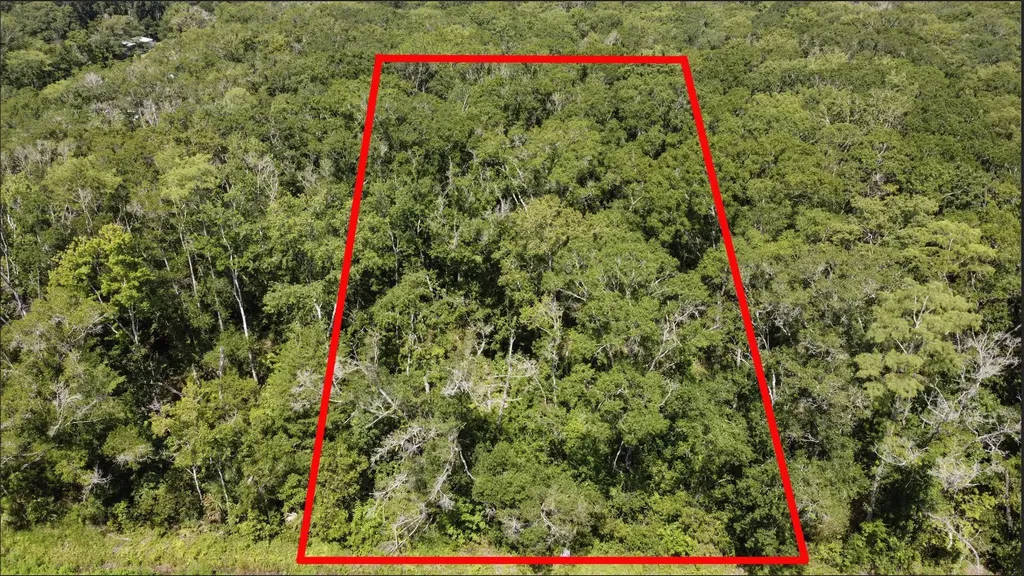 10555 Turpin Avenue Hastings FL 32145