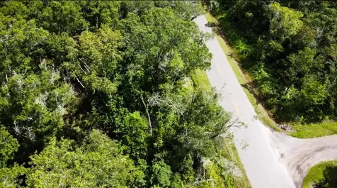 10555 Turpin Avenue Hastings FL 32145