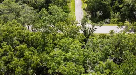 10555 Turpin Avenue Hastings FL 32145