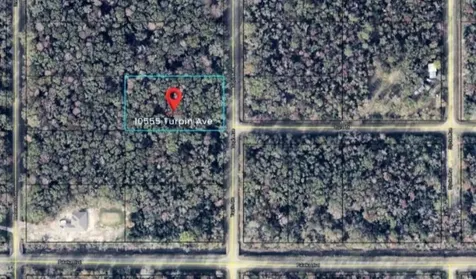 10555 Turpin Avenue Hastings FL 32145