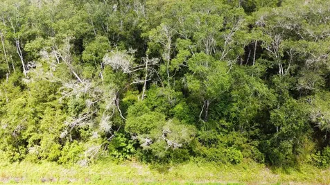 10555 Turpin Avenue Hastings FL 32145