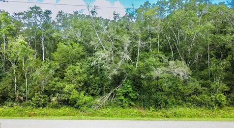 10555 Turpin Avenue Hastings FL 32145