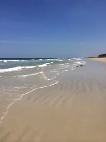 35 Smiling Fish Palm Coast FL 32137