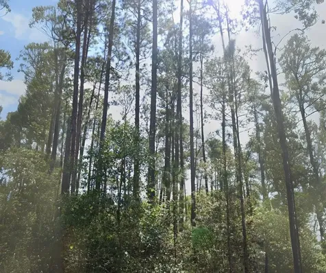 127 1st Street Georgetown FL 32139