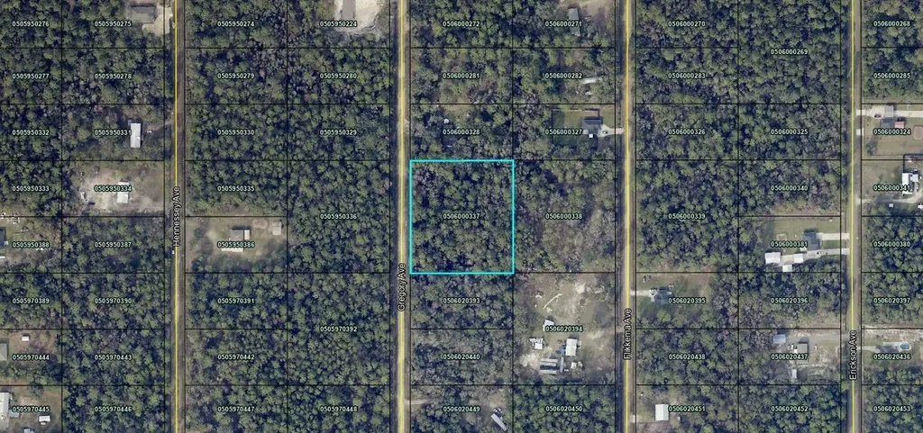 10050 Gregory Avenue Hastings FL 32145