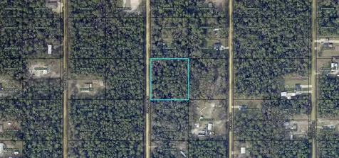 10050 Gregory Avenue Hastings FL 32145
