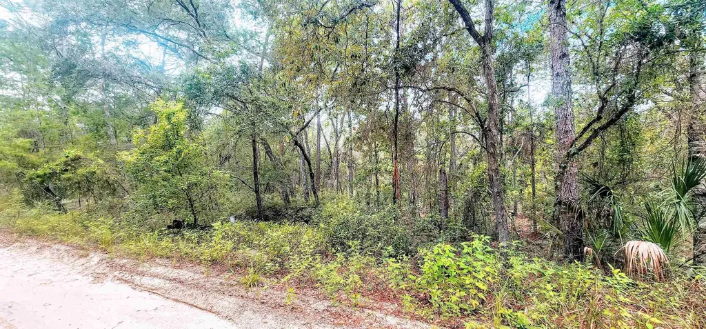 Minnesota Avenue Satsuma FL 32189