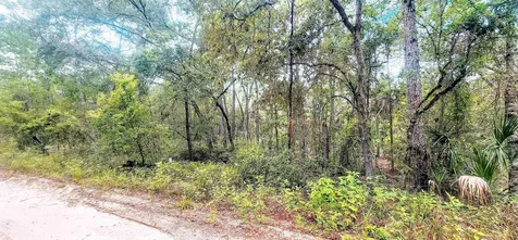 Minnesota Avenue Satsuma FL 32189