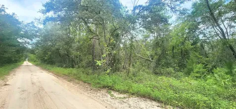 Minnesota Avenue Satsuma FL 32189