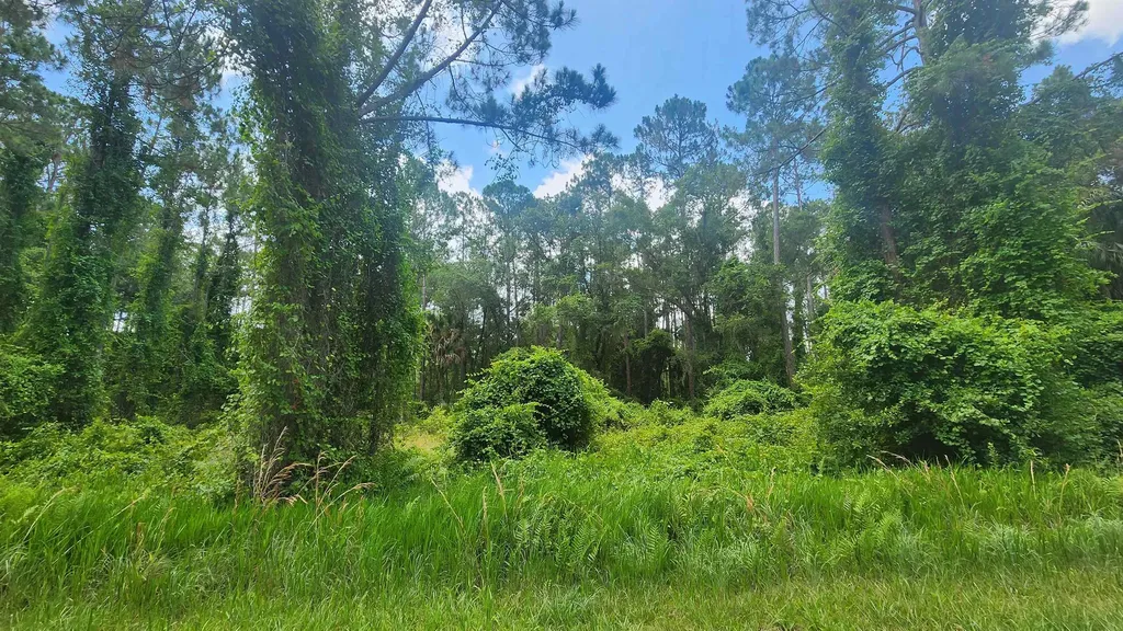 123 2nd Street Georgetown FL 32139