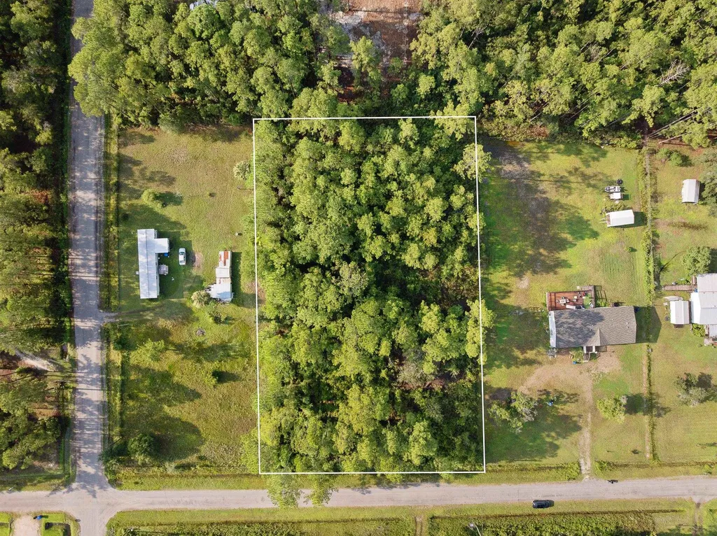 4415 Theresa Street Hastings FL 32145