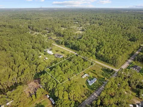 4415 Theresa Street Hastings FL 32145