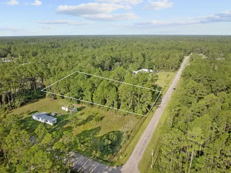 4415 Theresa Street Hastings FL 32145