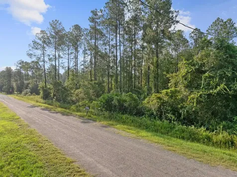 4415 Theresa Street Hastings FL 32145