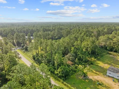 4415 Theresa Street Hastings FL 32145