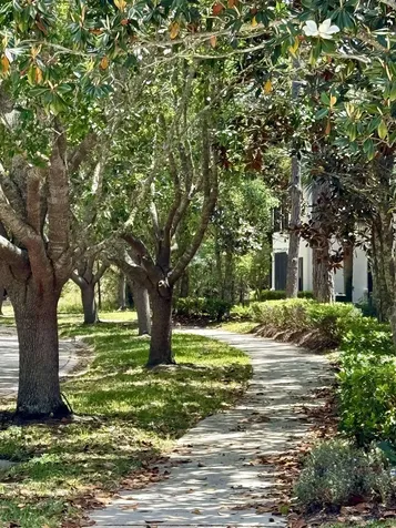 116 Laurel Wood Way + Garage + Elevator St Augustine FL 32086