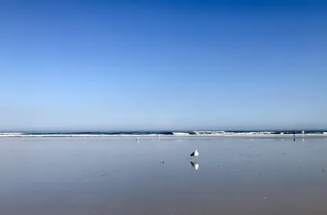 116 Laurel Wood Way + Garage + Elevator St Augustine FL 32086