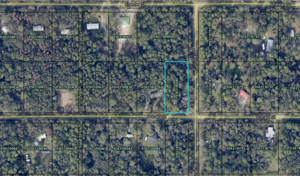9715 Turpin Avenue Hastings FL 32145