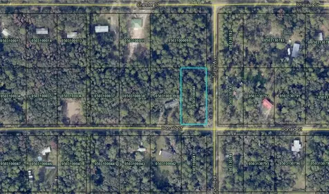 9715 Turpin Avenue Hastings FL 32145