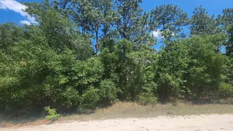 218 Summit Road Satsuma FL 32189