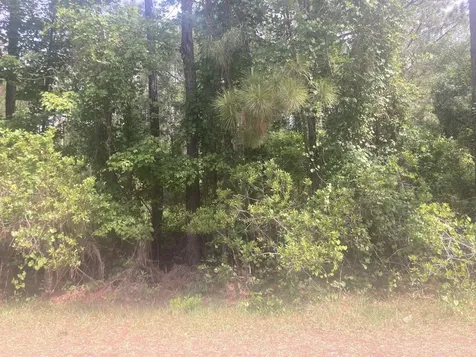 230 Palm Way Georgetown FL 32112