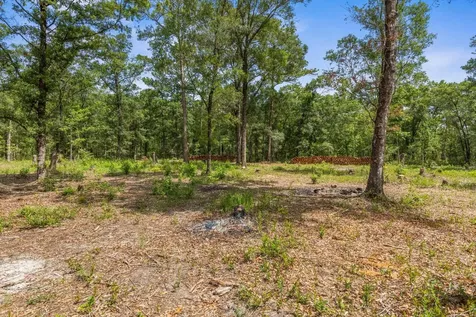 4820 Randolph Street Hastings FL 32145