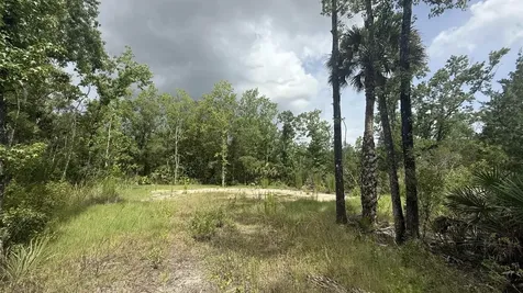10640 Ruth Avenue Hastings FL 32145