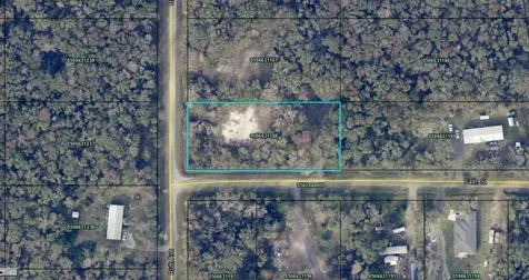 10640 Ruth Avenue Hastings FL 32145