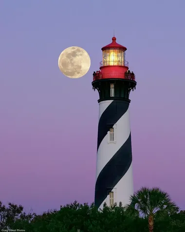 2432 Kacie Lane St Augustine FL 32084