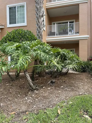 520 Florida Club Boulevard St Augustine FL 32084