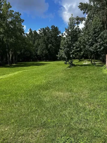 173 Dog Branch Road East Palatka FL 32131