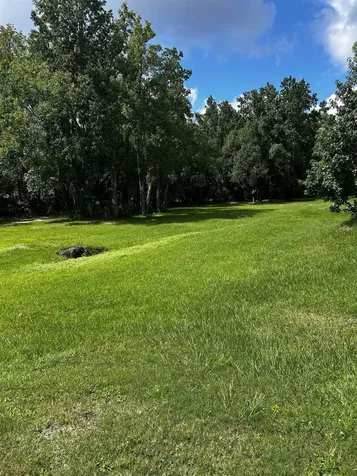 173 Dog Branch Road East Palatka FL 32131