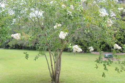 173 Dog Branch Road East Palatka FL 32131