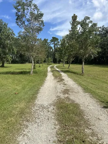 173 Dog Branch Road East Palatka FL 32131