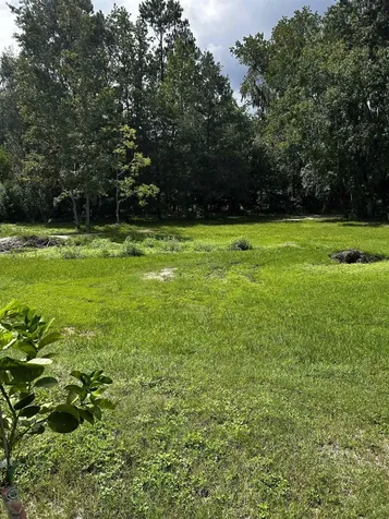 173 Dog Branch Road East Palatka FL 32131