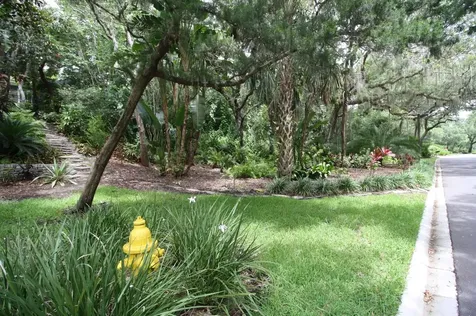 434 Ocean Forest Drive St Augustine FL 32080