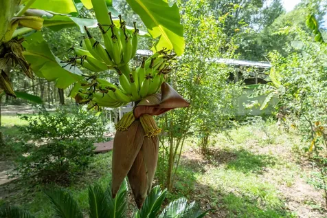 250 W West Lake Drive Hawthorne FL 32640