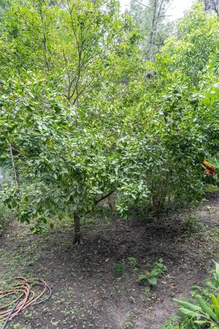 250 W West Lake Drive Hawthorne FL 32640